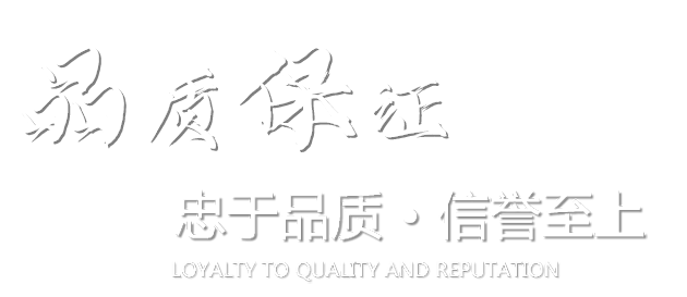硅烷聚合物